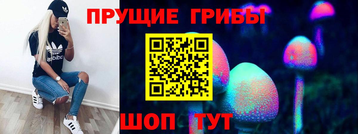 Псилоцибиновые грибы MAGIC MUSHROOMS  продажа наркотиков  Минусинск  Псилоцибиновые грибы мицелий  Вход с VPN 