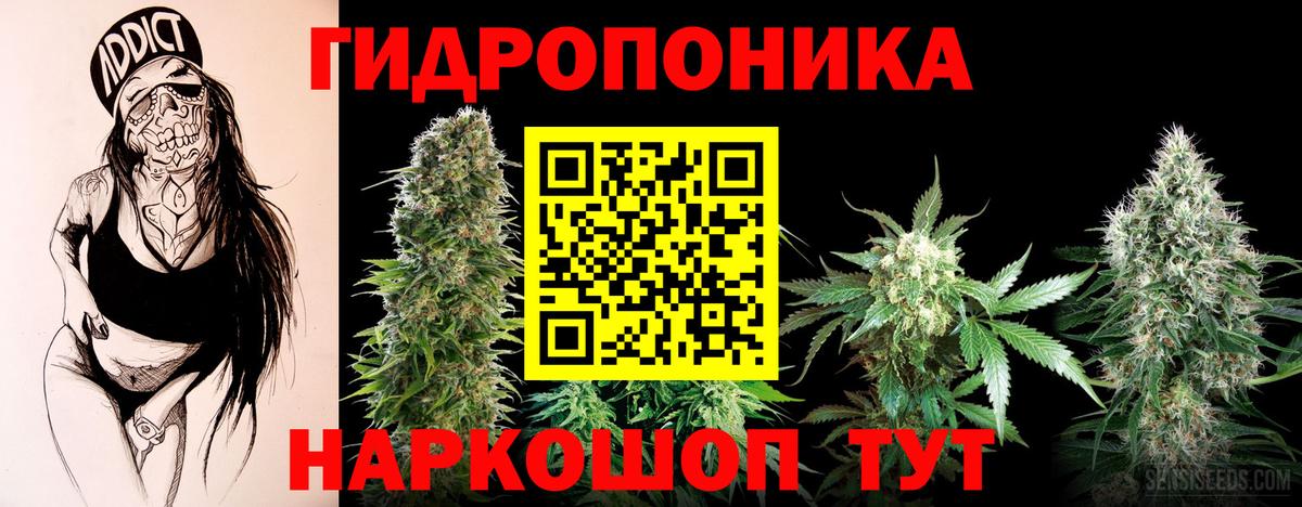 Каннабис Ganja  Канабис SATIVA & INDICA  Минусинск  Каннабис марихуана  Вход с VPN  Бошки марихуана OG Kush 